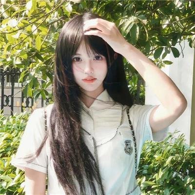 菊石